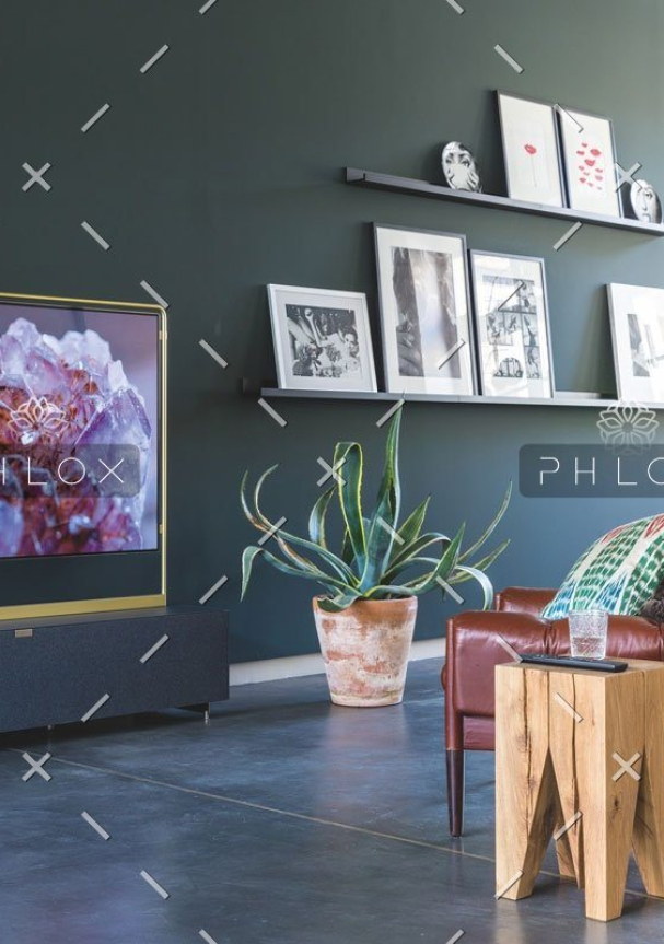 demo-attachment-549-Portfolio_image5